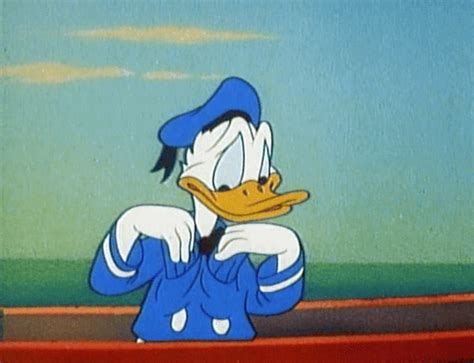Donald Duck Money  Scrooge Mcduck S Find And Share On Giphy