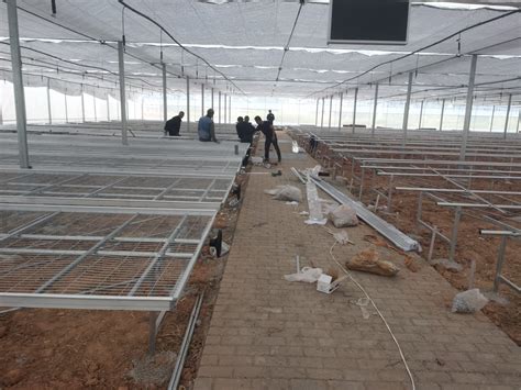 Photovoltaic Intelligent Glass Greenhouse With Solar Energy System