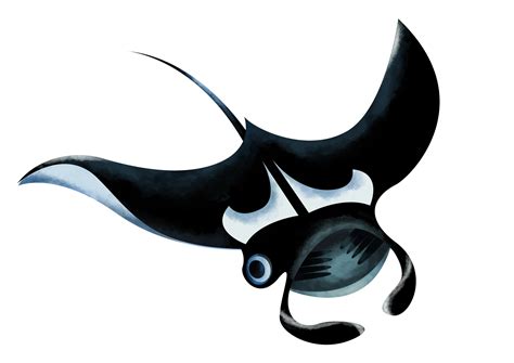 Giant Manta Ray Save Our Seas Foundation