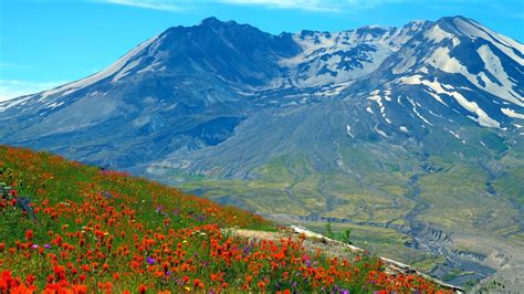 After Mount St Helens Erupted Scientists Fought To Preserve Its