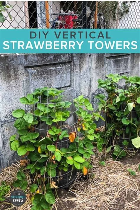 30+ best diy garden trellis ideas. Vines #strawberry #trellis strawberry trellis, grape vine ...