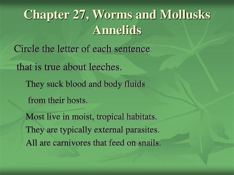 Ppt Chapter 27 Worms And Mollusks Continued Powerpoint Presentation Id257218