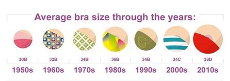 It Looks Like The Average Bra Size Has Been On A Steady Increase Since