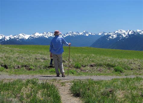 Top 10 Day Hikes On The Olympic Peninsula The Olympic Peninsula