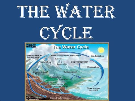 Ppt The Water Cycle Powerpoint Presentation Free Download Id3809539