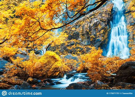 Gorgeous Waterfall In A Colorful Forest Stock Image Image Of Bright