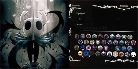The Best Charms In Hollow Knight Ranked