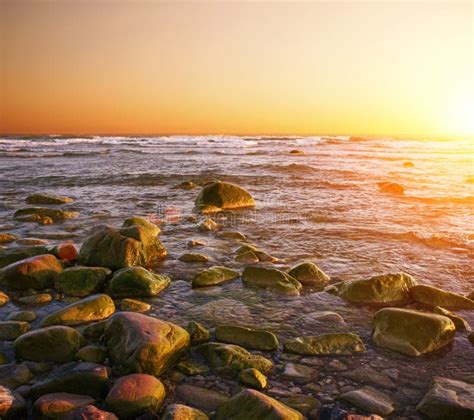 Beautiful Sunset Over Rocky Seashore Stock Image Image Of Rocks