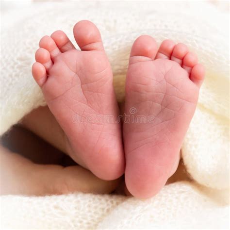Newborn Baby Feet Stock Image Image Of Care Feet Little 193299817