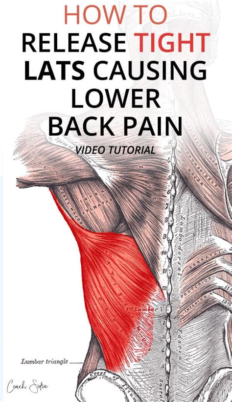 Latissimus Dorsi Pain Release And Best Sleeping Position Effective