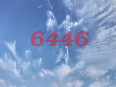 What Is The Message Behind The 6446 Angel Number Thereadingtub