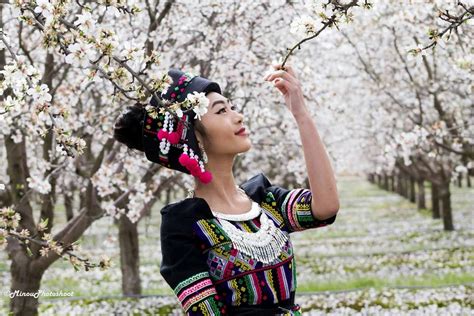 pin-by-sheng-vang-on-hmong-inspired-inspiration,-fashion,-crown-jewelry