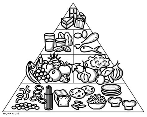 Energy pyramid diagram begins from the producers (plants) and proceeds through a few trophic. Free Food Pyramid Coloring Pages, Download Free Clip Art ...