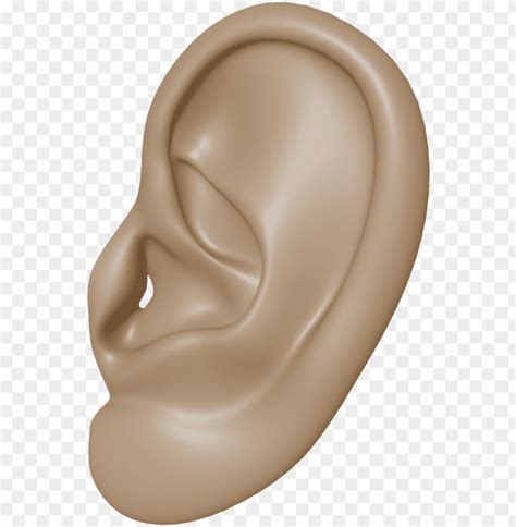 Ear Png Clipart Ear PNG Transparent With Clear Background ID 229739