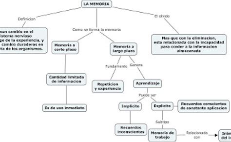 44 Mapa Conceptual De La Memoria Pictures Evolucion Otosection