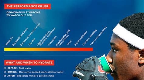 Infographic 5 Hydration Rules You Need To Know Stack