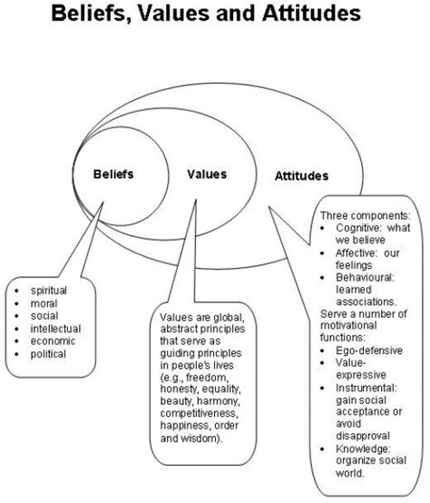 The Relationship Between Beliefs Values Attitudes And Behaviours