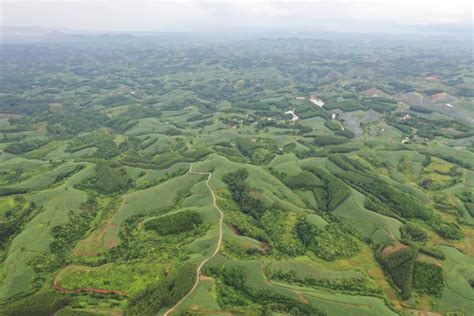 Aerial View Of Shiwan Mountain Nature Reserve In S China