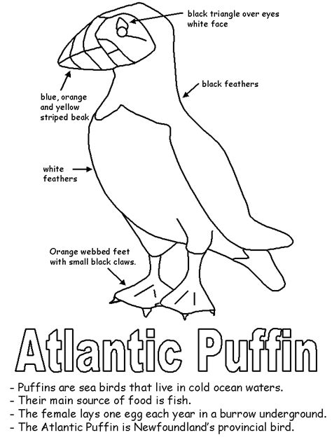 4 coloring pages for children from artcraftsandfamily.com. Atlantic Puffin | Elephant quilt, Canadian quilts ...