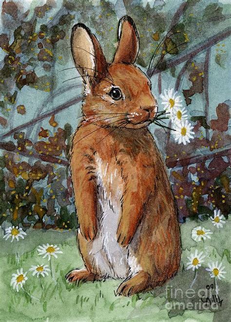 Pin By Ellen Bounds On Animals With Flowers 3 Rabbit Painting Bunny
