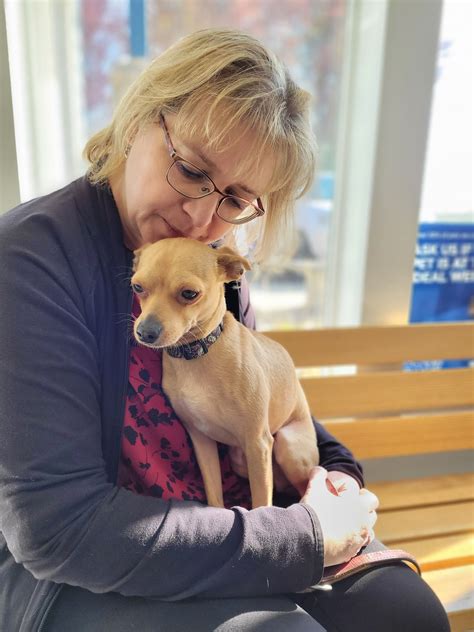 The Furry Farm - Fostering