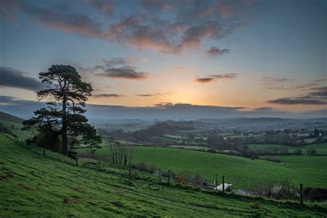 Beautiful Vibrant Sunrise Landscape Image Of Colmers Hill In Dorset On