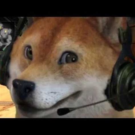 Dead Meme Doge Free Listening On Soundcloud