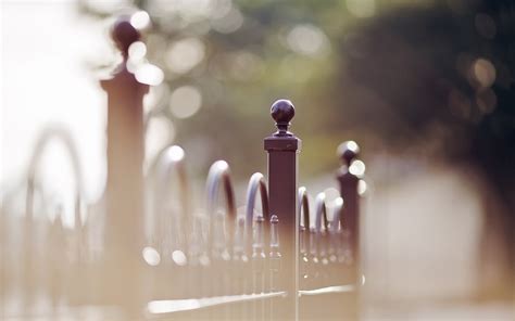 Macro Blurred Bokeh Depth Of Field Photography Fence Wallpapers Hd