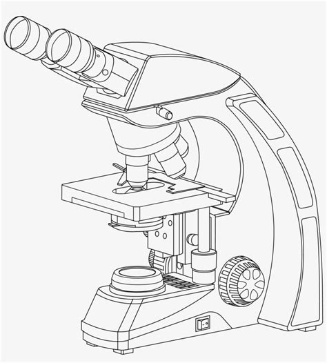 Details 78+ sketch of binocular microscope latest - seven.edu.vn