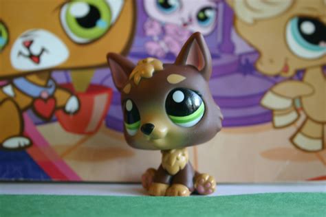 You can click on the generation 4 pets images to zoom in or click on any of the links under the images to see more releases of that type. Littlest Littlest Pet Shop - Cat and Dog Lovers