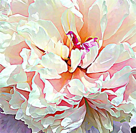 Spring Peony Painting By Mindy Newman