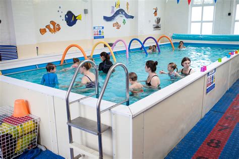 For other uses, see trainer (disambiguation). About Trinity Trainer Pool | Trinity Trainer Pool