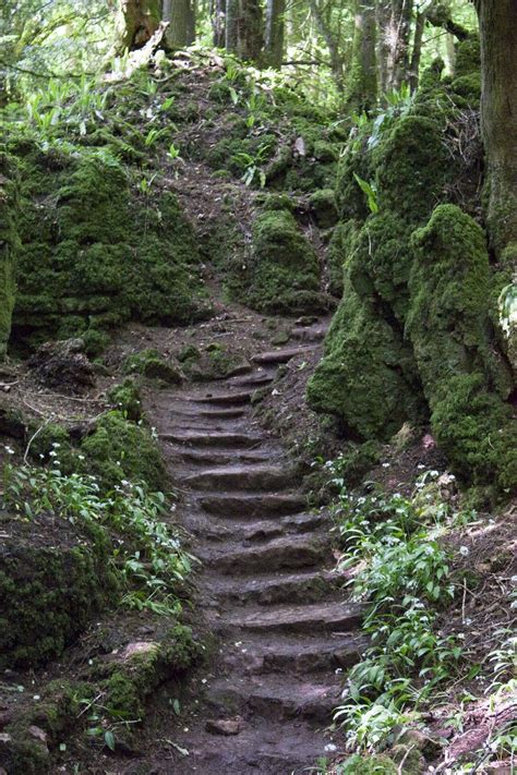 Puzzlewood Forest Of Dean Uk Sacred Groves Forest Of Dean Stair Steps Take A Hike