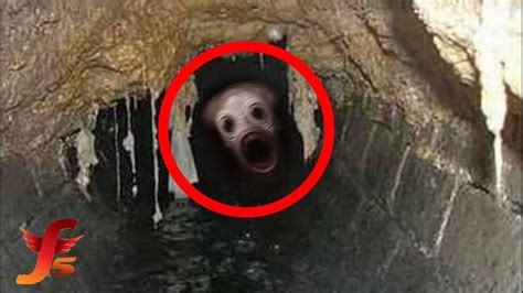 Top 5 Scary Creatures Caught On Camera In A Tunnel Cave Or Sewer
