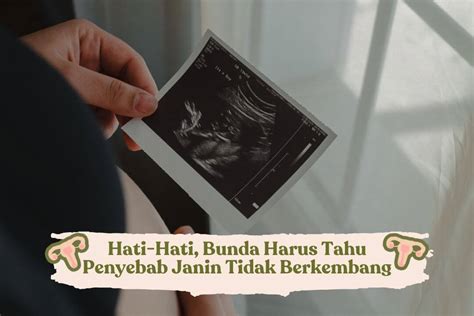 Hati Hati Bunda Harus Tahu Penyebab Janin Tidak Berkembang