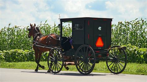 Pennsylvania Amish Carriages Poster 未使用