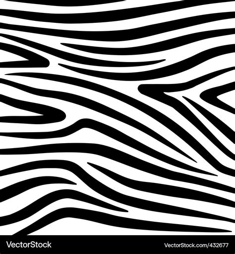 Zebra Print Royalty Free Vector Image Vectorstock