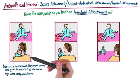 Which Is Avoidant Attachment Intro To Psychology Youtube