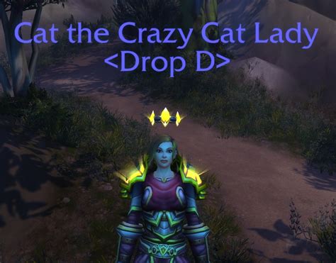 S The Crazy Cat Lady Title World Of Warcraft