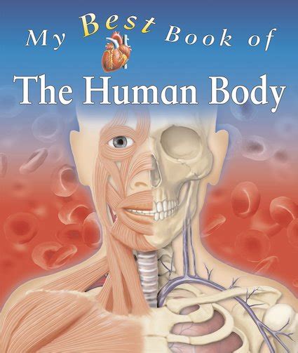 My Best Book Of The Human Body Scholastic Shop