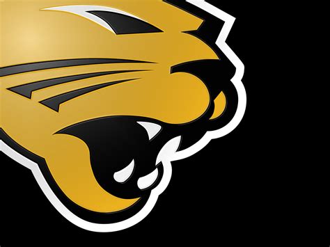 The advanced stats shown here are updated through week 7 of the 2020 season. 1280x0960Northern Iowa Panthers Big Plastic Gold - Digital ...