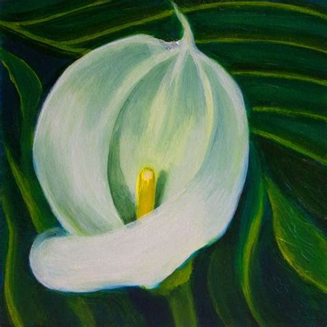 Painting Calla Lily Original Art By Debra Bucci Fine Art Flower
