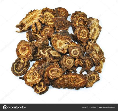 Rhizoma Notopterygii Chinese Herbal Medicine Isolated Qiang Huo Stock