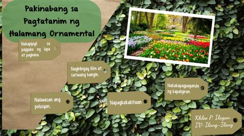 Pakinabang Sa Pagtatanim Ng Halamang Ornamental By Kline P Ilagan On Prezi