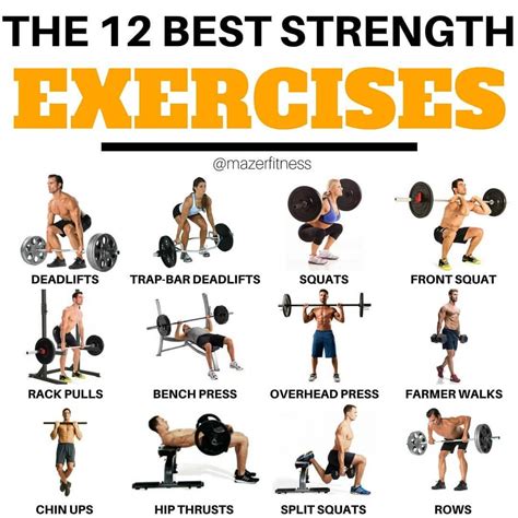 💥💥the 12 Best Strength Exercises💥💥 🤔well The Best Yeah I Think