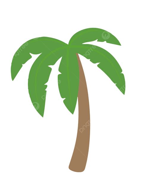 Gambar Kartun Sederhana Vektor Pohon Kokos Pohon Kelapa Pola