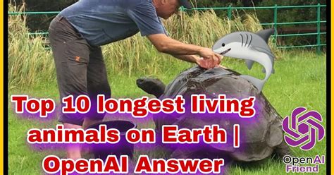 Top 10 Longest Living Animals On Earth Openai Answer