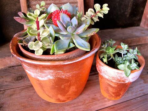 Get Gilded Gold And Brass Leaf Terracotta Pots With Sass Homejelly
