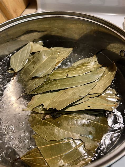 8 Spiritual Benefits Of Taking A Bay Leaf Bath - Shamonique