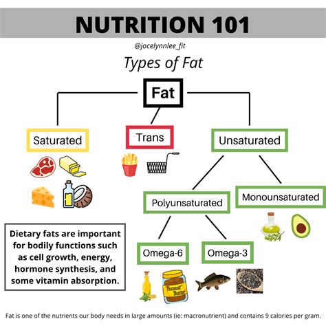 Fats The Healthy And The Not So Healthy Nutrition Dietary Macronutrients